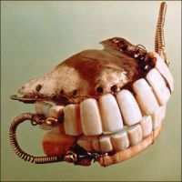 old dentures